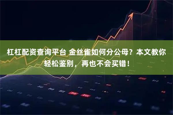 杠杠配资查询平台 金丝雀如何分公母？本文教你轻松鉴别，再也不会买错！