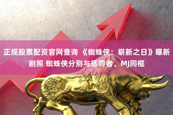 正规股票配资官网查询 《蜘蛛侠：崭新之日》曝新剧照 蜘蛛侠分别与惩罚者、MJ同框